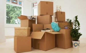 Packing Services