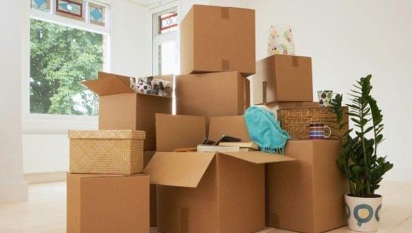 assorted packing materials